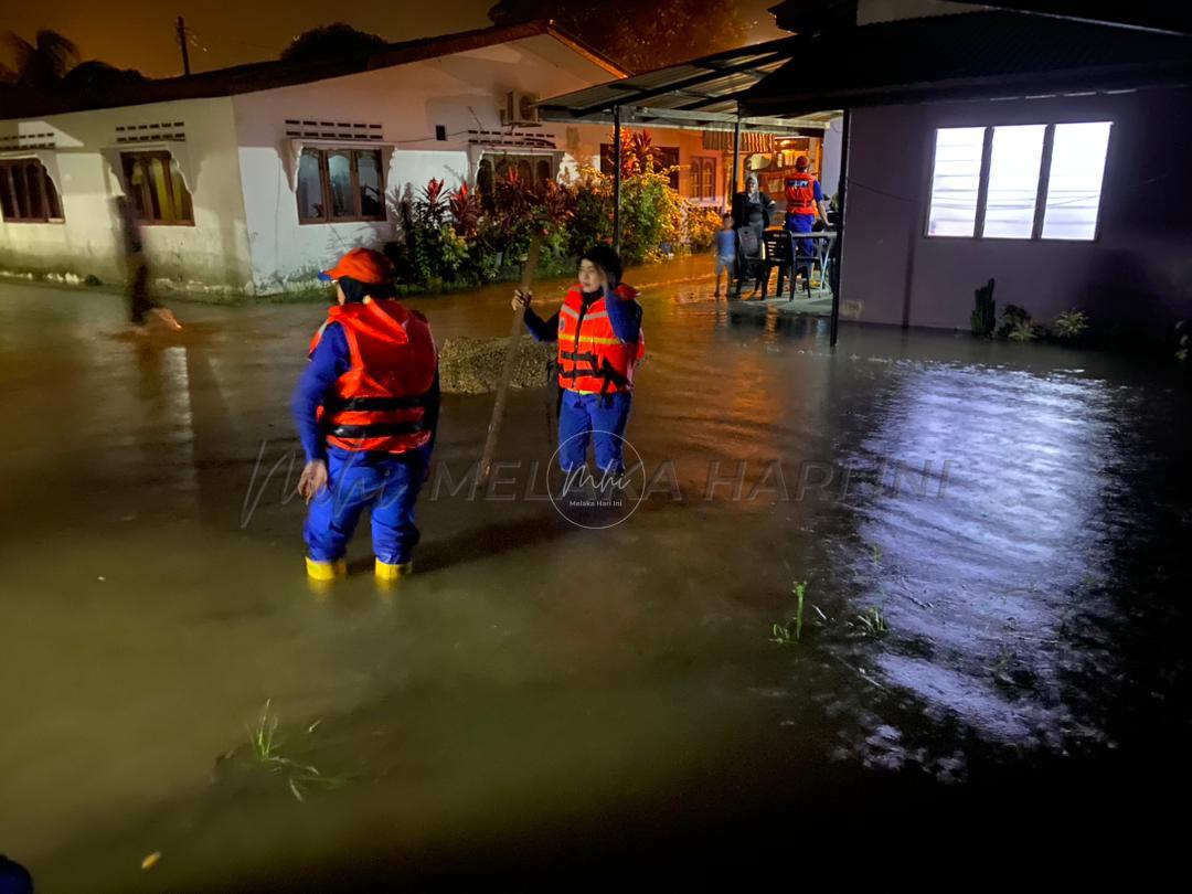 310967410 5467619089983962 1747185465442494588 n