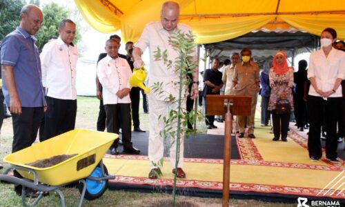 Sultan Nazrin berkenan rasmi sambutan Hari Hutan Antarabangsa Perak