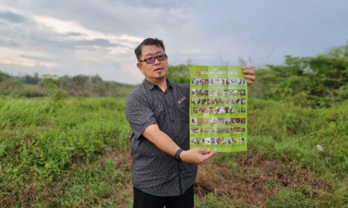 Intip burung, mana tahu dapat hadiah