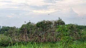 Whatsapp image 2022 10 04 at 7.17.47 pm (1)