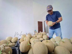 Whatsapp image 2022 10 11 at 3.06.29 pm