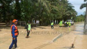 Whatsapp image 2022 10 27 at 15.10.08