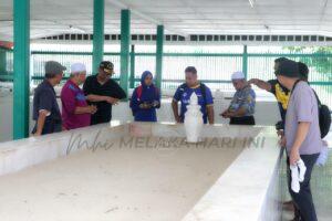 Photo 6188148142768239083 y