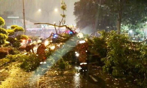 Empat kes pokok tumbang di Melaka Tengah