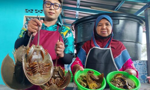 Menu eksotik dari ‘kuala’