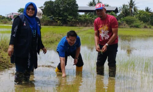Perkenal produk jenama Tangga Batu di persada dunia – Ban Hong