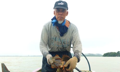 Predator laut ’emas’ buat nelayan