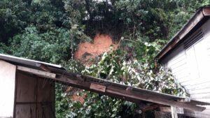 314737839 523933063099445 5335934130125357605 n