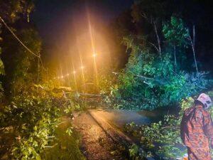 315391746 1283887979116381 8107900943450819486 n