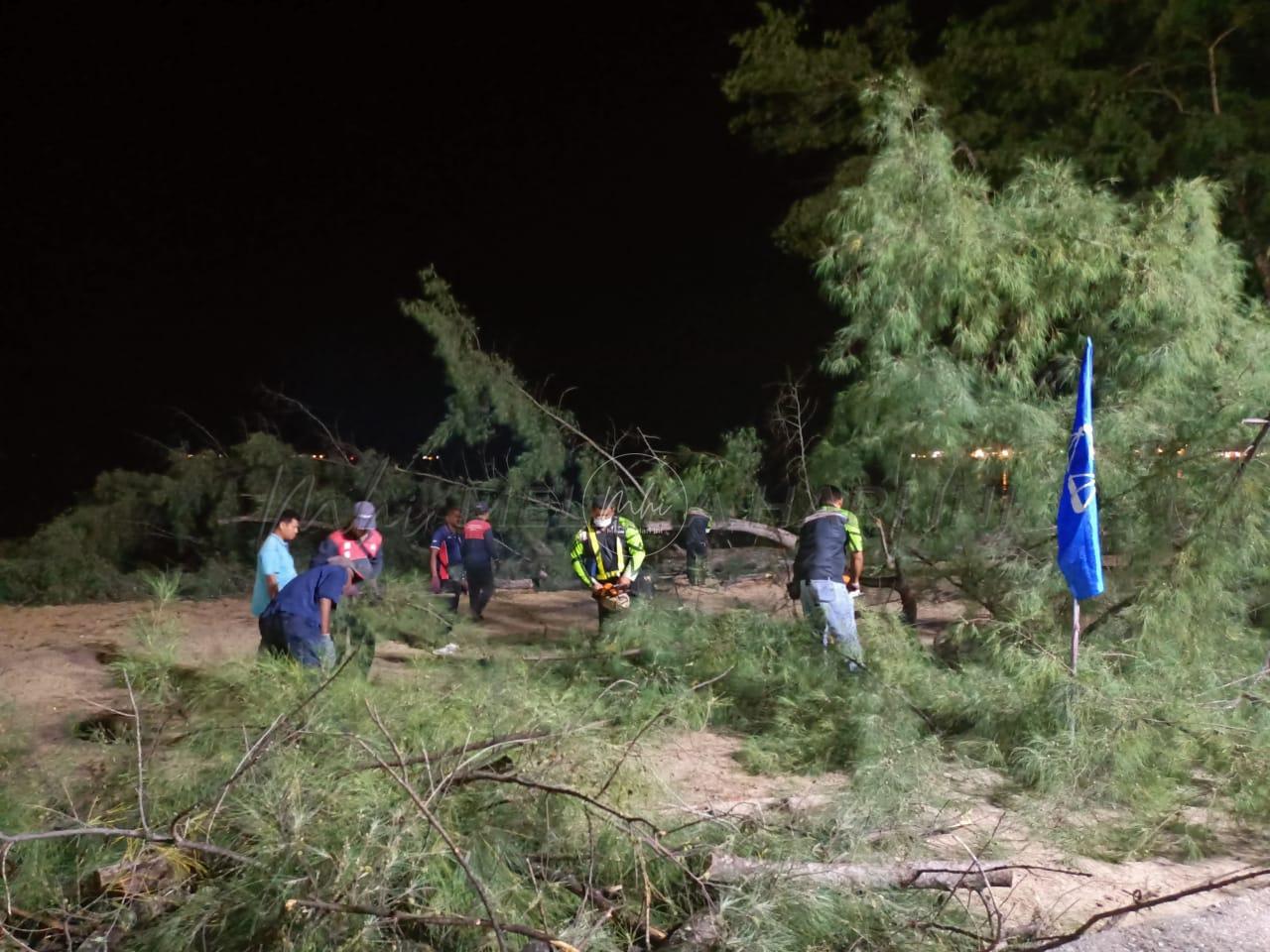 78fe8906 a639 4b70 b5a4 c4b7407f3004