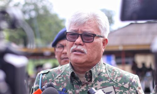 TDM mengharapkan yang terbaik daripada kerajaan baharu