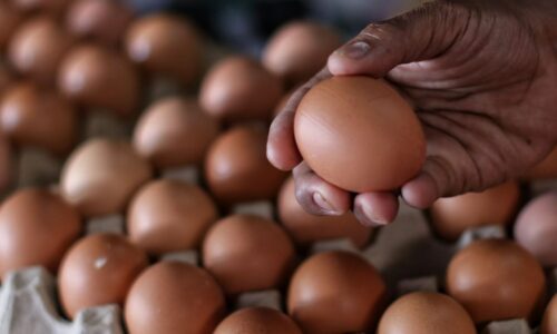 Isu bekalan telur ayam, minyak masak: Salahuddin jumpa pemain industri esok