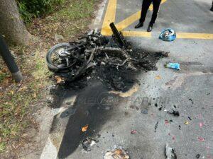 Whatsapp image 2022 11 01 at 15.46.20