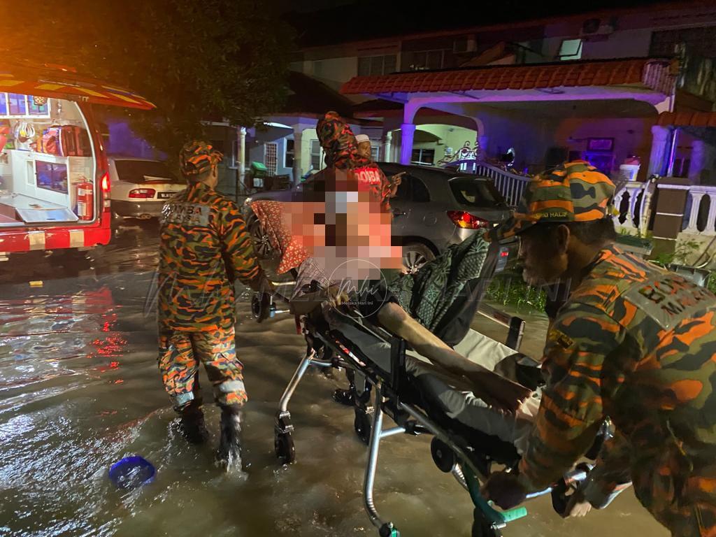 Whatsapp image 2022 11 15 at 11.11.20 am