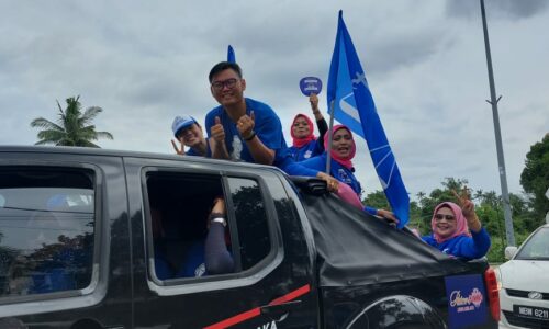 Maaf tidak dapat berjumpa semua pengundi – Qi Yao