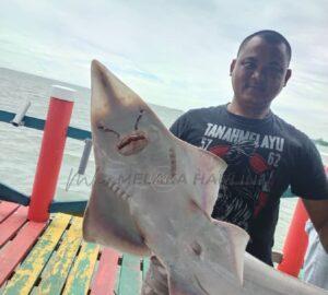 Whatsapp image 2022 11 24 at 13.20.12