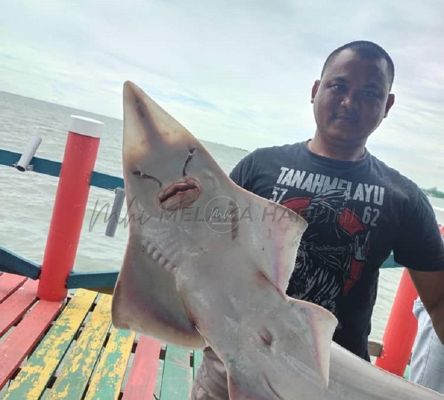 Whatsapp image 2022 11 24 at 13.20.12