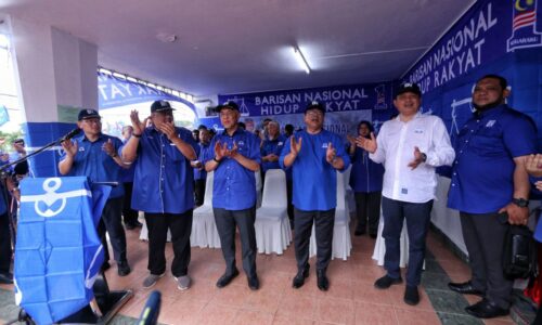 Jangan cucuk kami, Ismail Sabri tetap PM – Ahmad Zahid