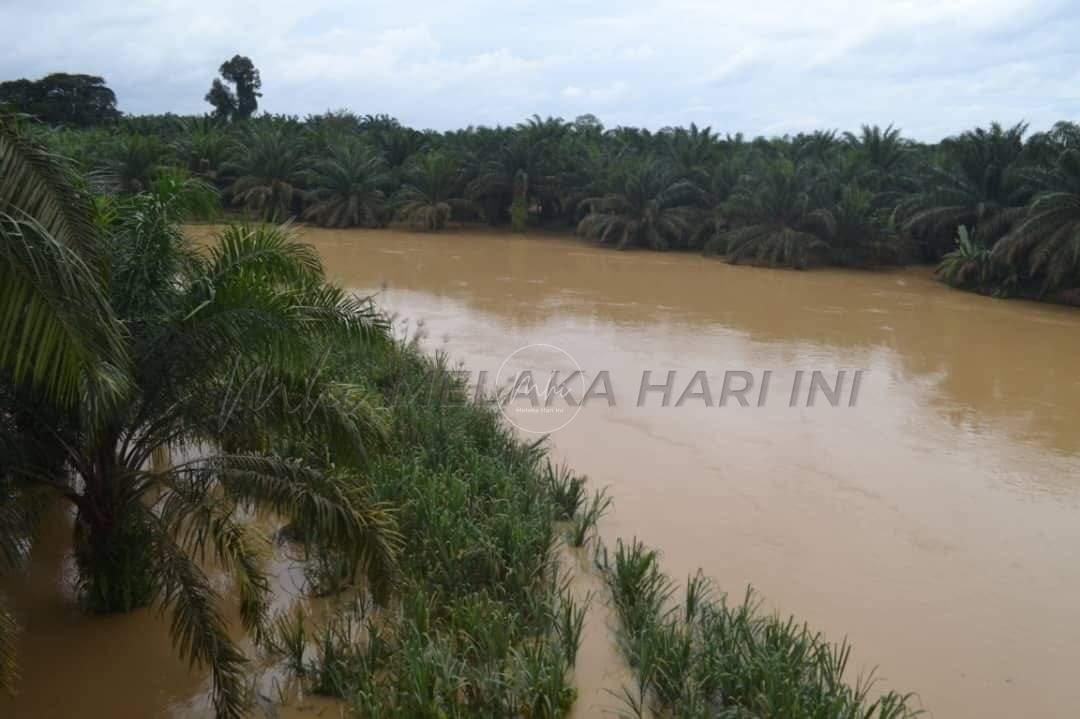 Fb img 1670736386810