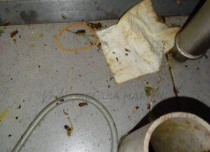 Whatsapp image 2022 12 02 at 7.53.01 pm