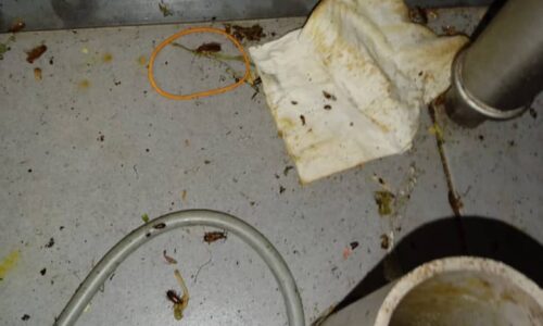 Jumpa najis tikus dan kotor, empat dapur hotel diarah tutup