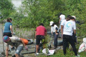 Whatsapp image 2022 12 08 at 14.30.47