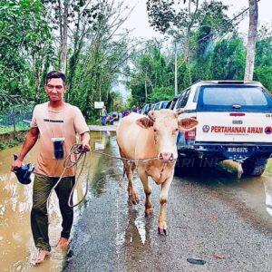 Whatsapp image 2022 12 13 at 9.59.10 am