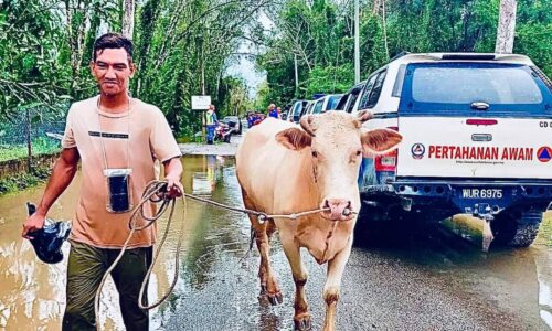 Mangsa banjir di Pahang, Perak, Terengganu dan Johor meningkat, Kelantan kekal