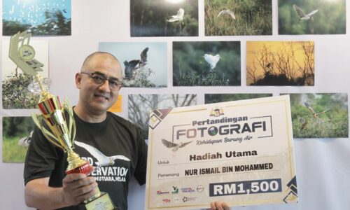 Berhabis puluhan ribu demi ‘buru’ burung