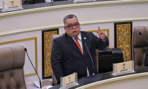 Sidang DUN: Tebang pokok berisiko tertakluk arahan PBT – Exco
