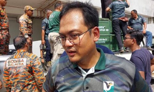 Tapir tersesat disyaki dari sempadan Melaka