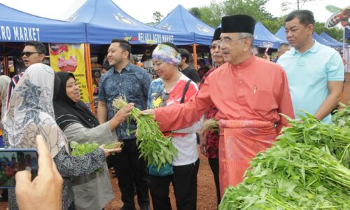 TYT ‘belanja’ sayur segar kepada pengunjung