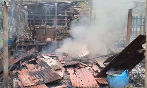 Kandang terbakar, 13 ekor kambing rentung