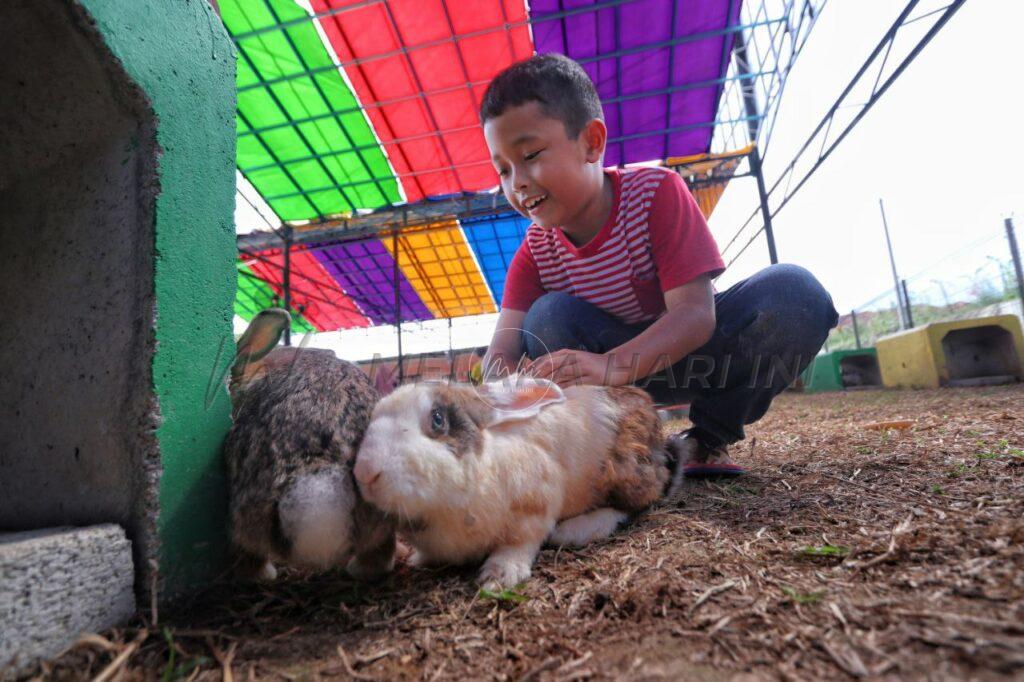 Ladang arnab pertama Melaka janjikan keseronokan