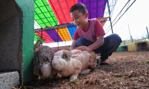 Ladang arnab pertama Melaka janjikan keseronokan