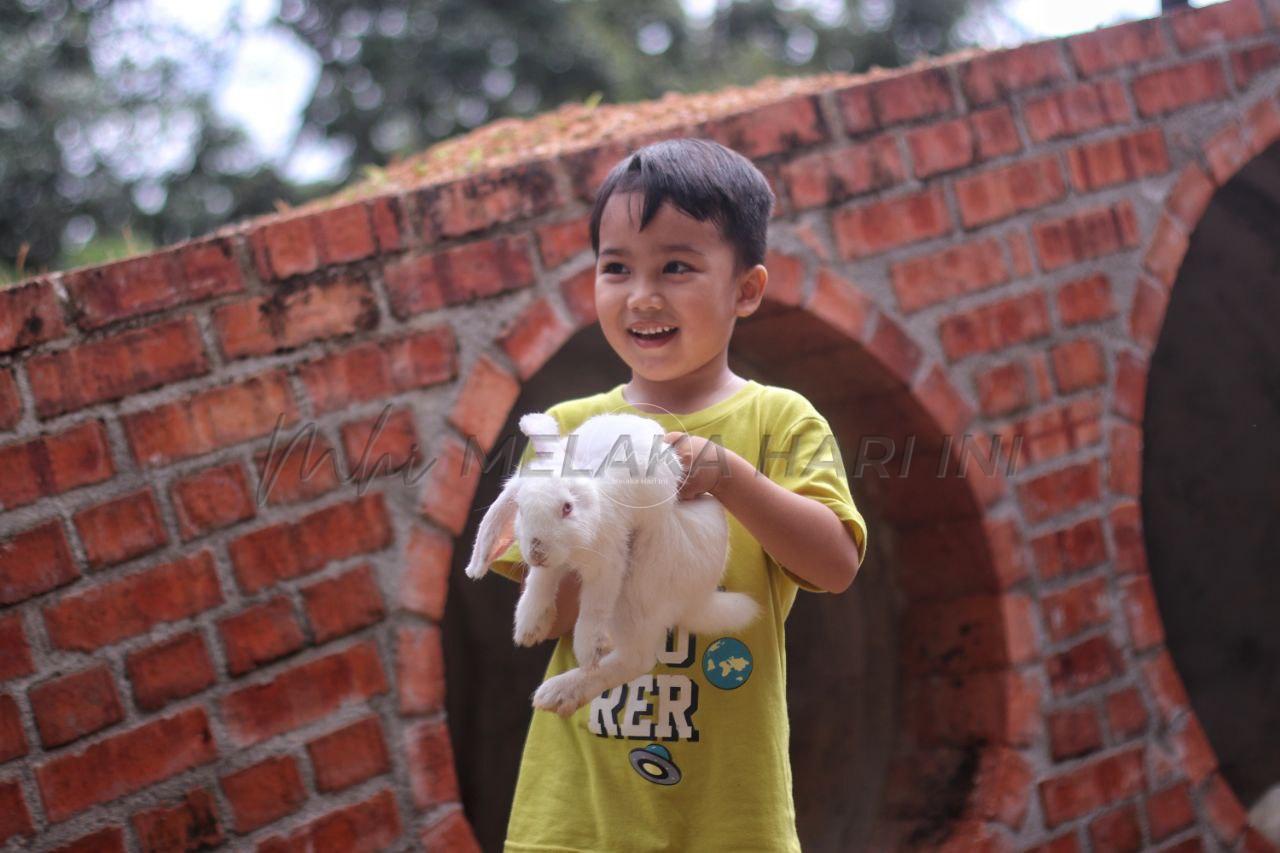 Ladang arnab pertama Melaka janjikan keseronokan