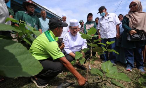 Melaka perintis agro pelancongan buah tin – KM