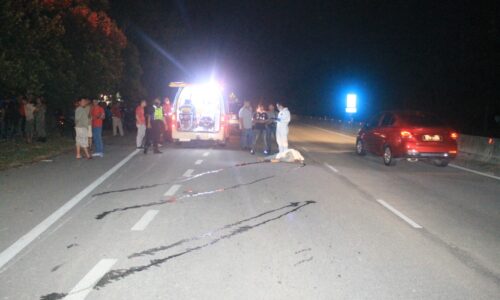 Tentera maut digilis 4×4 selepas langgar anjing