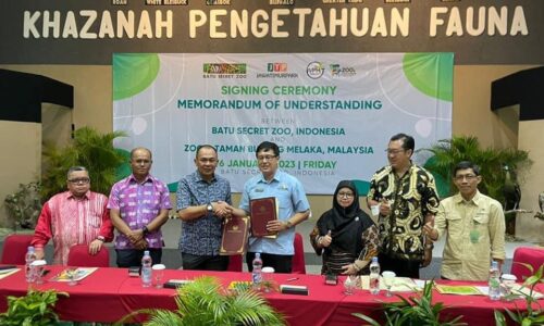 Zoo Melaka tukar harimau dengan Zoo Batu Secret, Indonesia