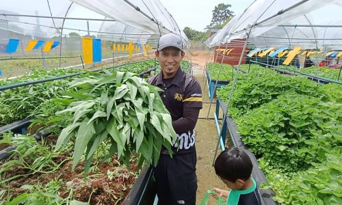 Petik dan bayar, produk pelancongan baharu?