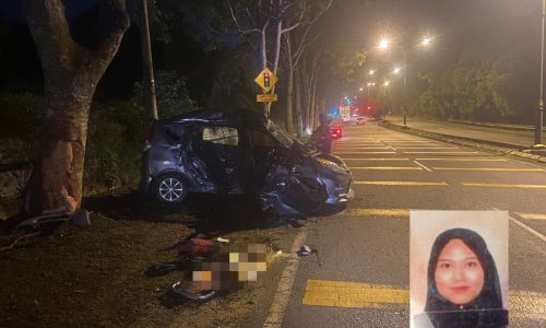 Pekerja syarikat industri maut kereta rempuh pokok