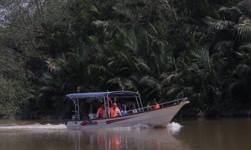Khidmat bot pelancong Paya Lebar perlu diperbanyakkan