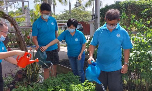 Penghuni autisme tanam sayur, jana pendapatan