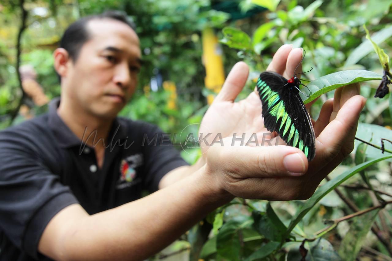 Photo 6229035969433155088 y