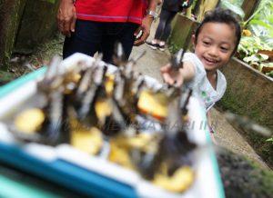 Photo 6229035969433155098 y