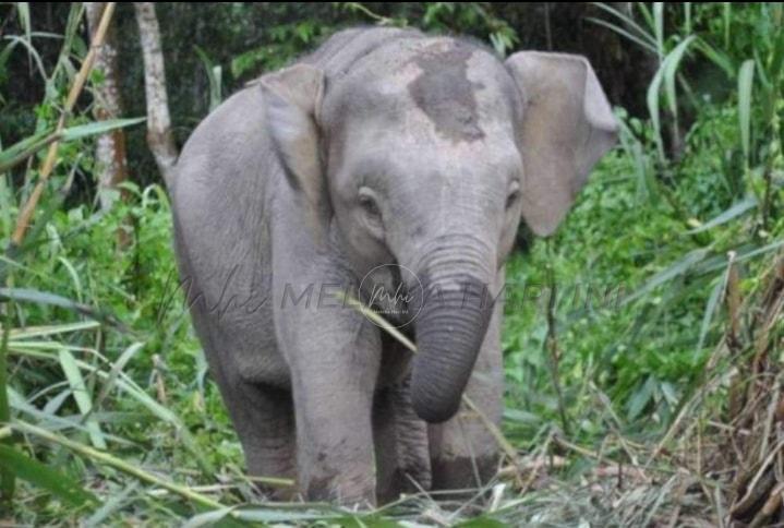 328581770 906243904141678 7832279922859639555 n