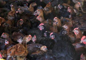 Img 20230212 134257 886