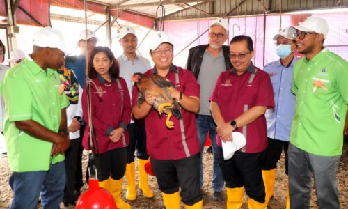 KUSKOP saran lebih banyak koperasi ternak ayam