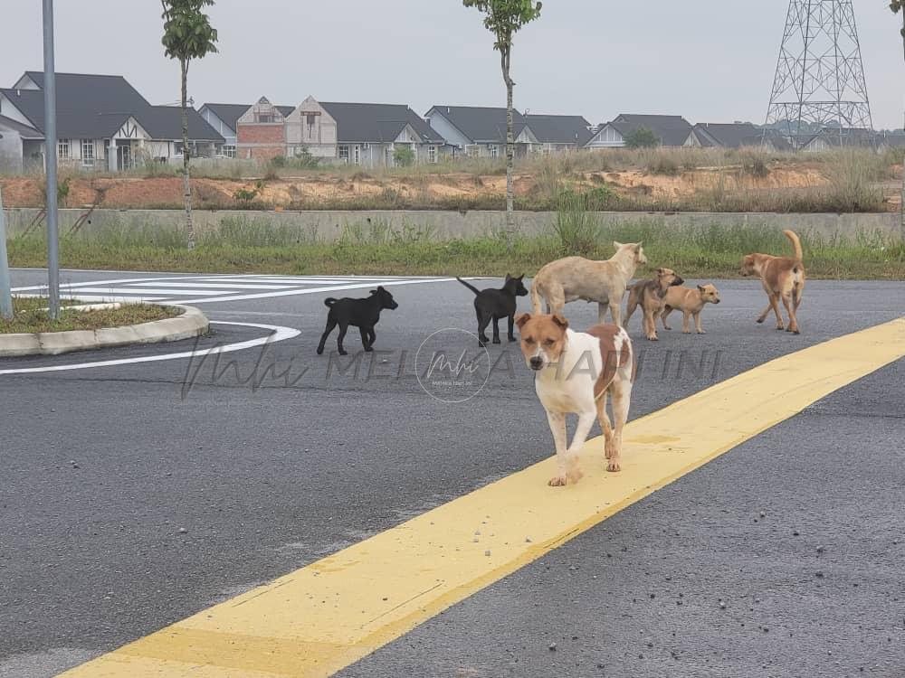 Whatsapp image 2023 02 15 at 1.52.15 pm