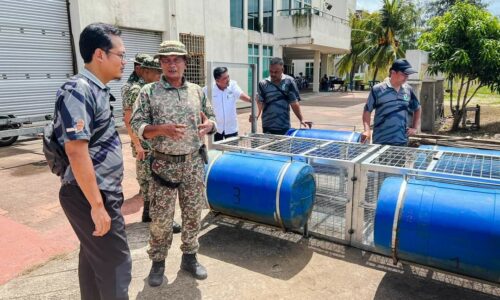Buaya ‘viral’ dipercayai dari Sungai Linggi